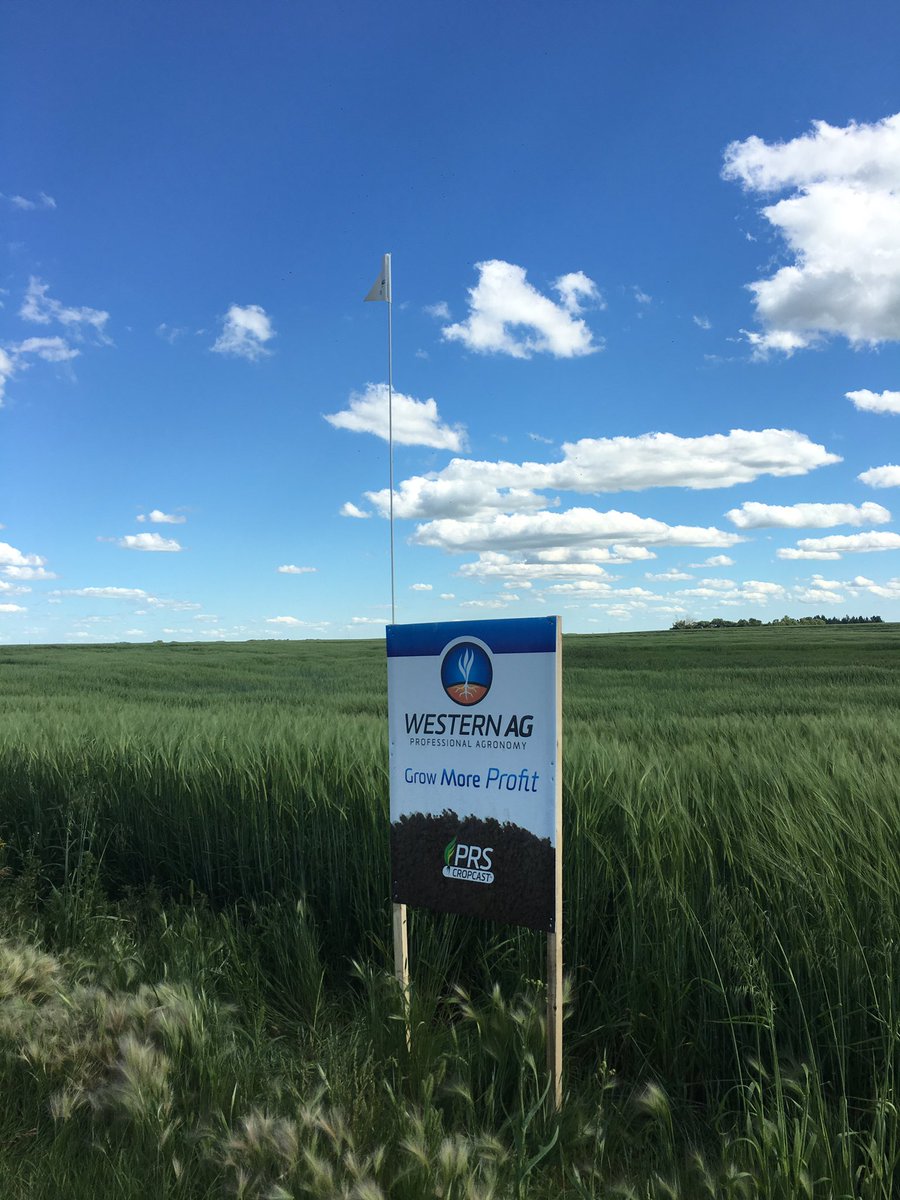 paultastad's tweet photo. All "signed" up. Sign up your fields this fall with your local NW Sask Agronomist. #PRSTech #SoilSample16 https://t.co/sKojtYvpSs