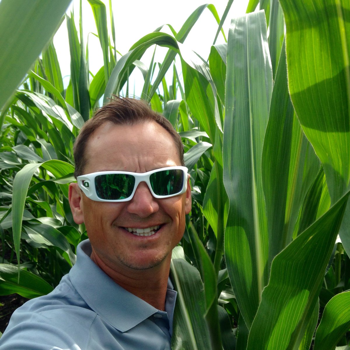 M_NesbittAg's tweet photo. Bentley #Colony corn trial moving quickly! #Dekalb #DKC23-21RR https://t.co/PEuP2474xT
