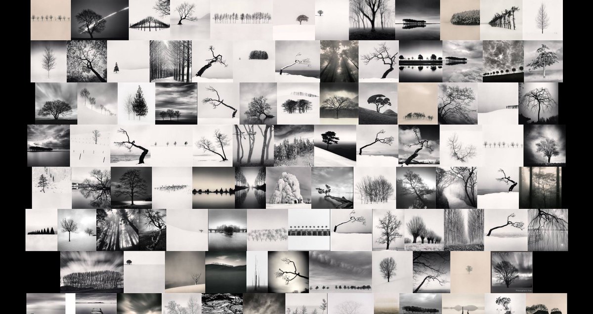 xavierign's tweet photo. One image of Michael Kenna tree photos, made with #ImageQuilts. #datavis #datavisualization. tip by @EdwardTufte. https://t.co/0Eqvn2vWT1