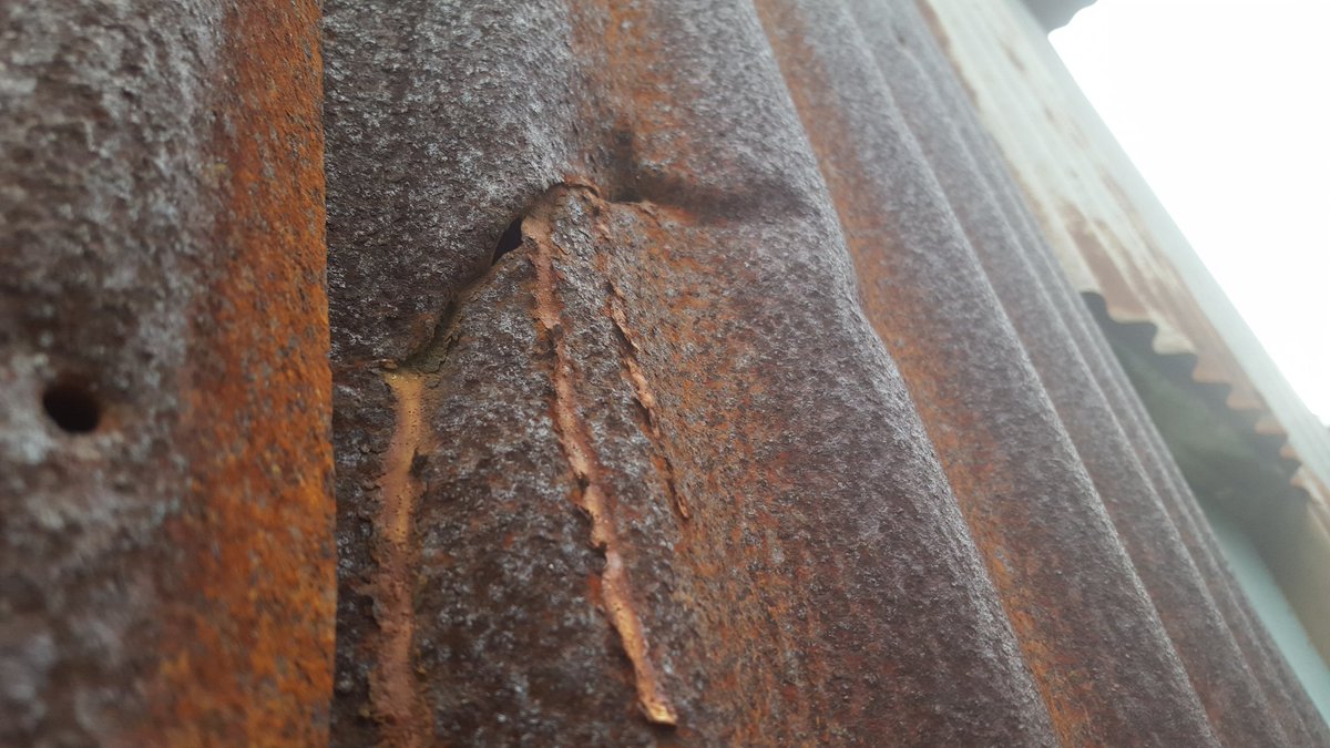 HwnRoots76's tweet photo. Rusty sheet metal #RG76RE @HwnRoots76 #Hawaii https://t.co/5YLHvpcxyJ