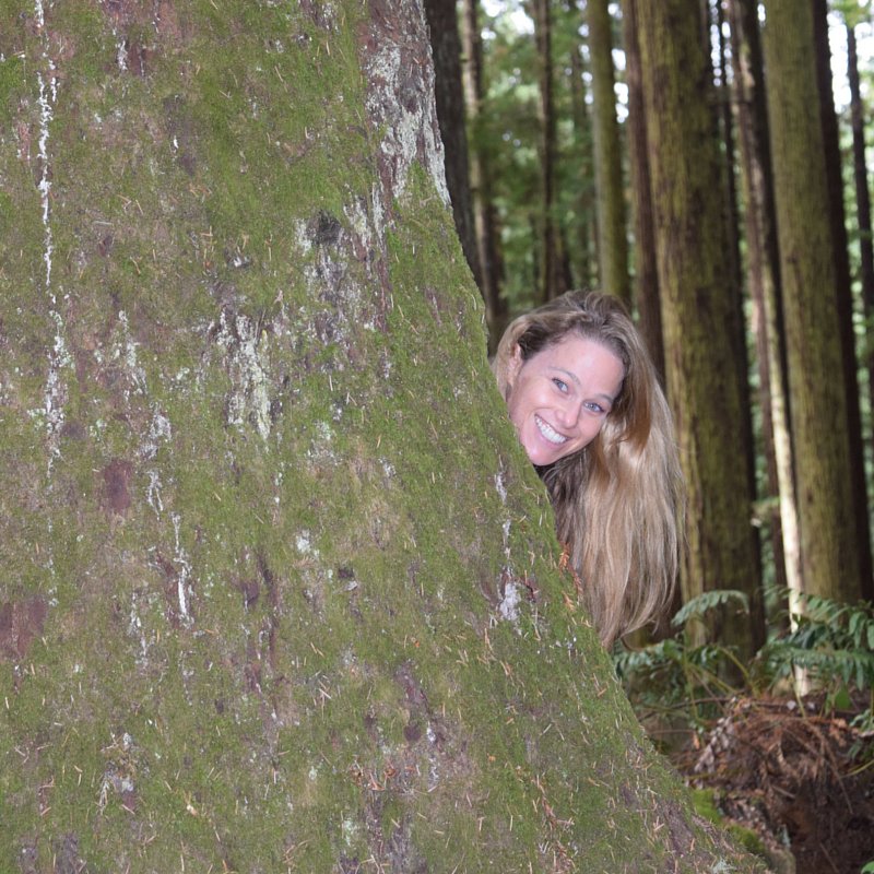 stbende's tweet photo. No #ewok sightings, but I might have hugged a tree or 2 at @TyrFredriksen's Arcata compound! https://t.co/9Sm58Rx3Z5 https://t.co/sxO189pepU