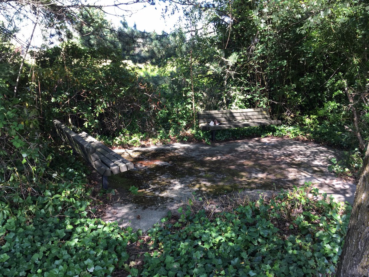 benchesofissy's tweet image. Cozy little alcove with two benches wedged between Gilman and I90. Practically invisible from the street.