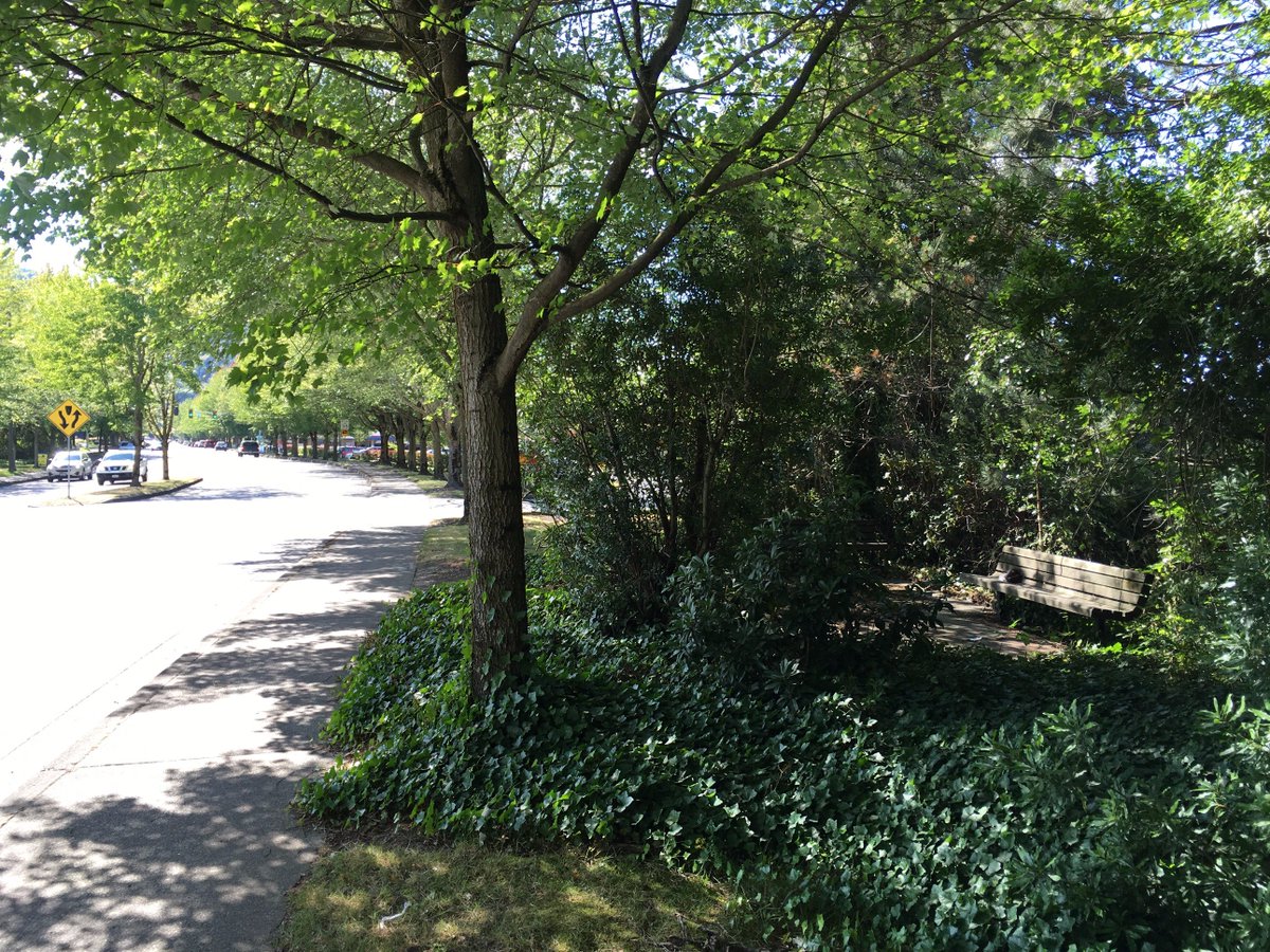 benchesofissy's tweet image. Cozy little alcove with two benches wedged between Gilman and I90. Practically invisible from the street.