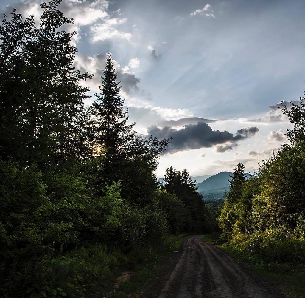lvneaperfume's tweet photo. The magic hour on the road out front of our chalet.
#lvneaaway #jaymountain #adirondacks … https://t.co/YPDlWilqgi https://t.co/9XAJyoCCHO
