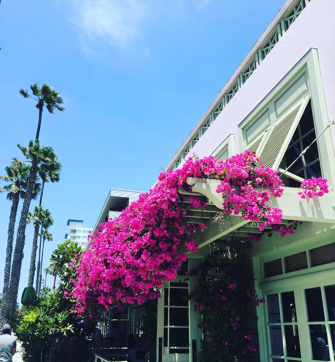 Malibu Mart Ivy At The Shore Restaurant Santa Monica California T Co 7ifdw8tbou Santamonica Ivyattheshore Malibu Mart Ivy At The Shore Restaurant Santa Monica California T Co 7ifdw8tbou Santamonica Ivyattheshore