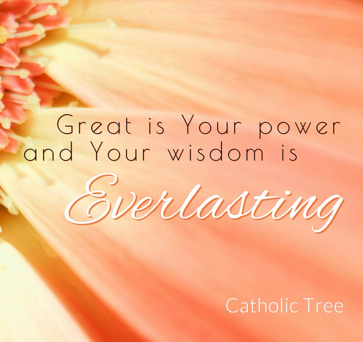 ItsCatholicJoy's tweet photo. and yet He gave us free will! Use yours wisely!! #CatholicTree #Catholic #wisdom https://t.co/ZhYDK1eSwU