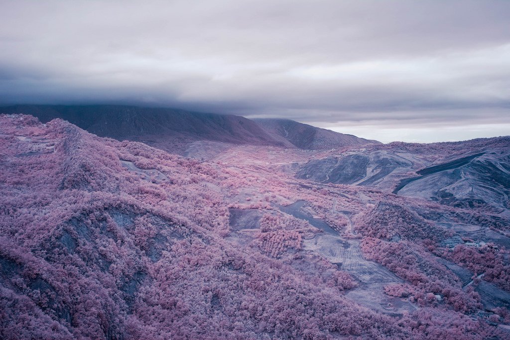 "Todos vivimos bajo el mismo cielo, pero ninguno tiene el mismo horizonte". Konrad Adenauer.
