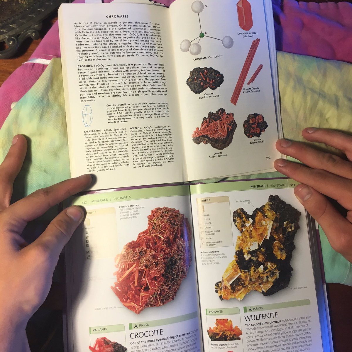 bmnss's tweet photo. Obligatory fuck Brandon for 1up-ing my mineralogy field guide @BrandonMaynard_ https://t.co/J7S0ze0STe