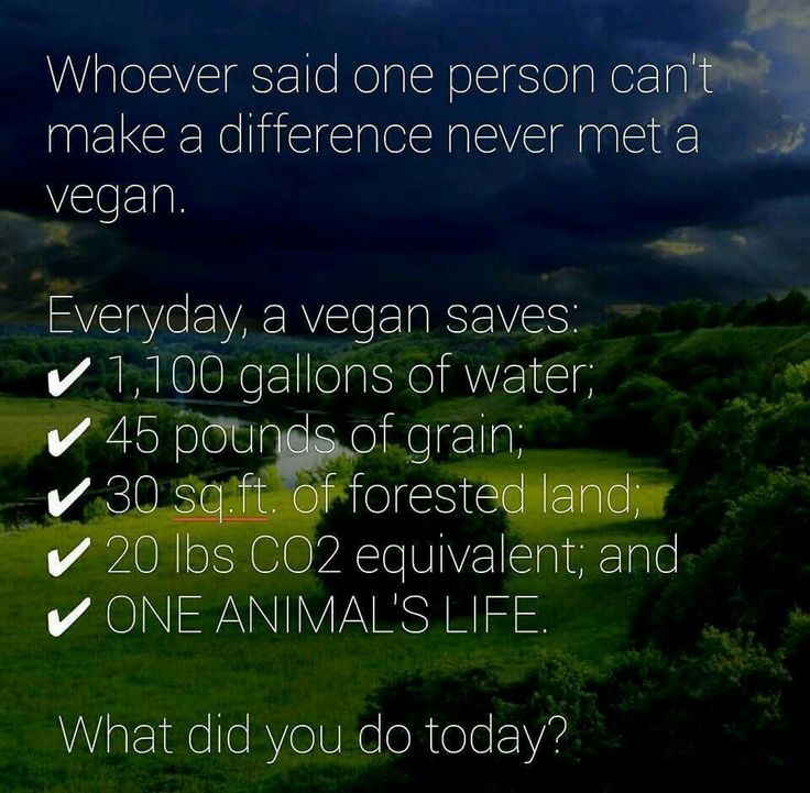 VeganFeministUK's tweet photo. #vegan #feminist #WakeUpAmerica #vegetarian #veganbeauty
Sotrue, walked instead of getting the bus today #reduceC02 https://t.co/jhwitkW7Wb
