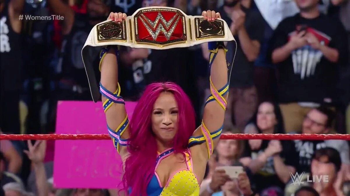 LoveBitesFan's tweet photo. If you can dream it,you can do it! @SashaBanksWWE #RAW https://t.co/Y3jxqYIx1m