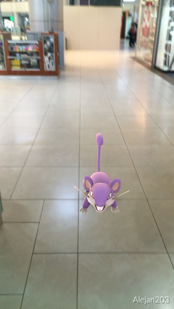 MrAlejandros's tweet photo. @galeriassv  y justo después de esto encontré un #Polyguard #galerias https://t.co/GCyY0QfzgR