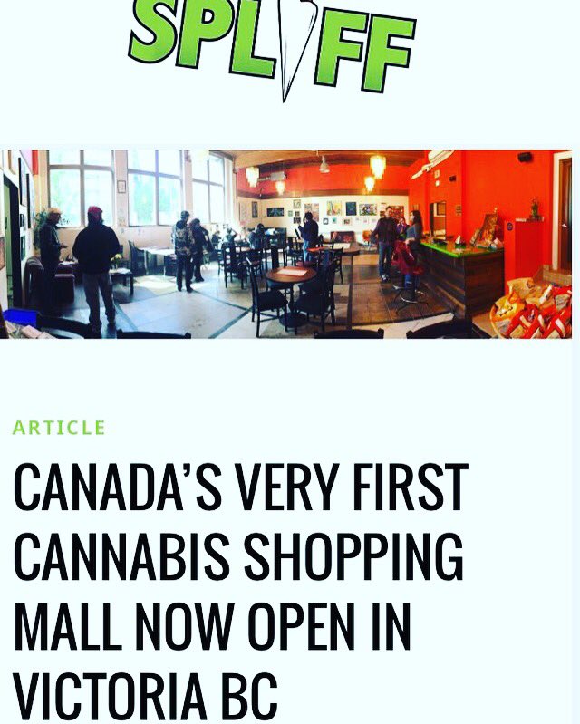 PandaExtracts1's tweet photo. https://t.co/uVNLPx3yfu #cannabis #marijuana #Shatter #extracts #shattershack #skunkandpandaextracts #Cannabis https://t.co/rjIry6C7nz