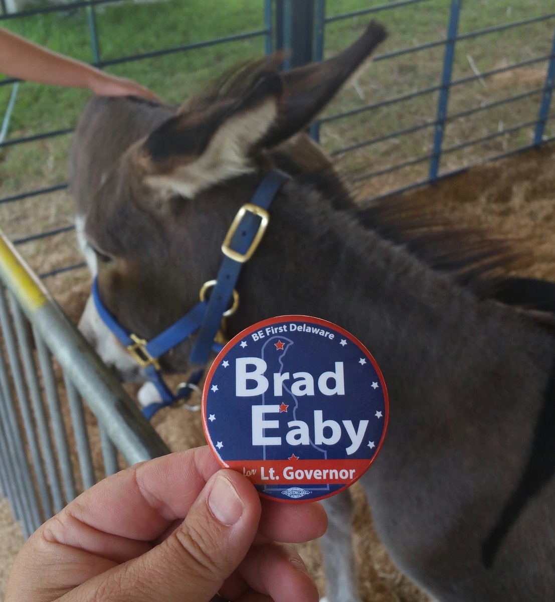 BEFirstDE's tweet photo. .@DelStateFair: all the #DelStateFair animals love #BEFirstDE! How 'bout you? #electionDE #voteDE @AgricultureDE https://t.co/UEi18III8h