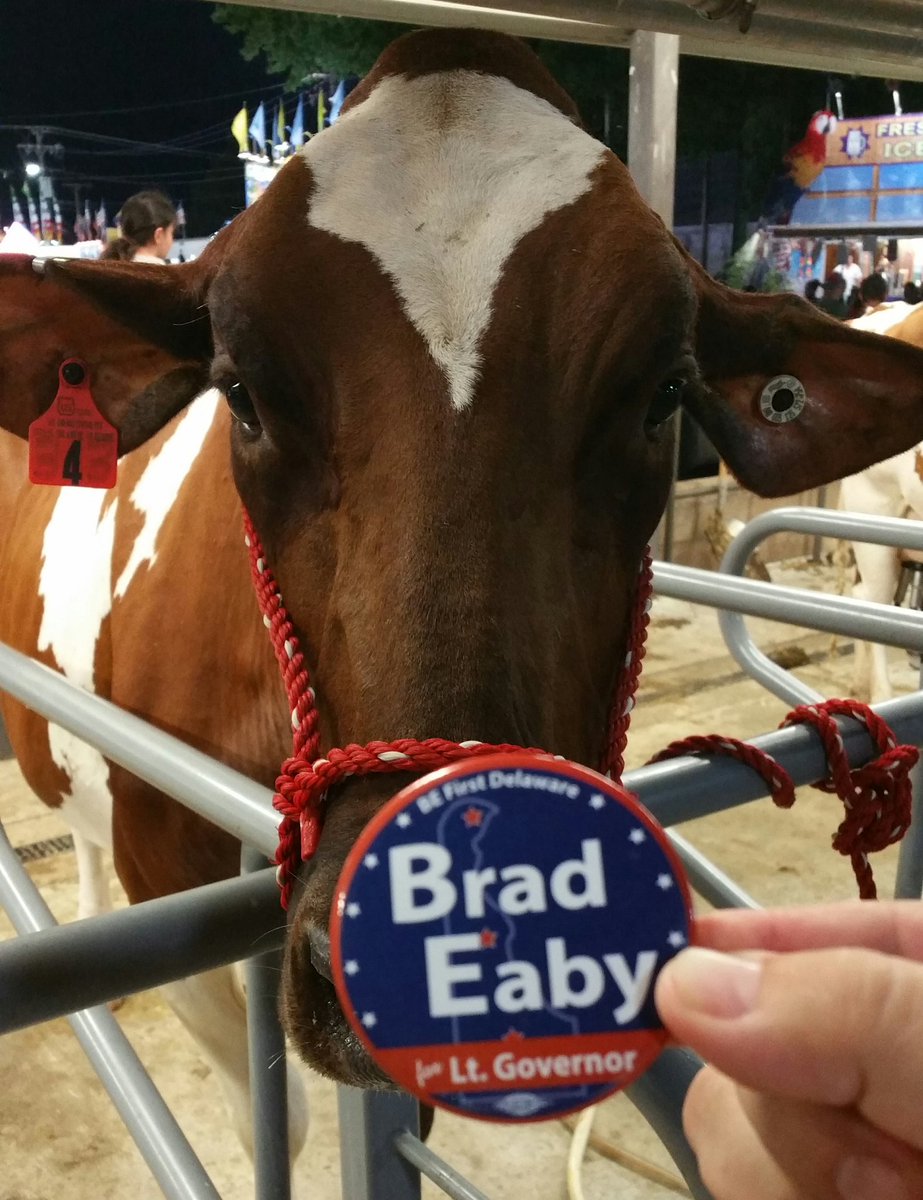 BEFirstDE's tweet photo. .@DelStateFair: all the #DelStateFair animals love #BEFirstDE! How 'bout you? #electionDE #voteDE @AgricultureDE https://t.co/UEi18III8h