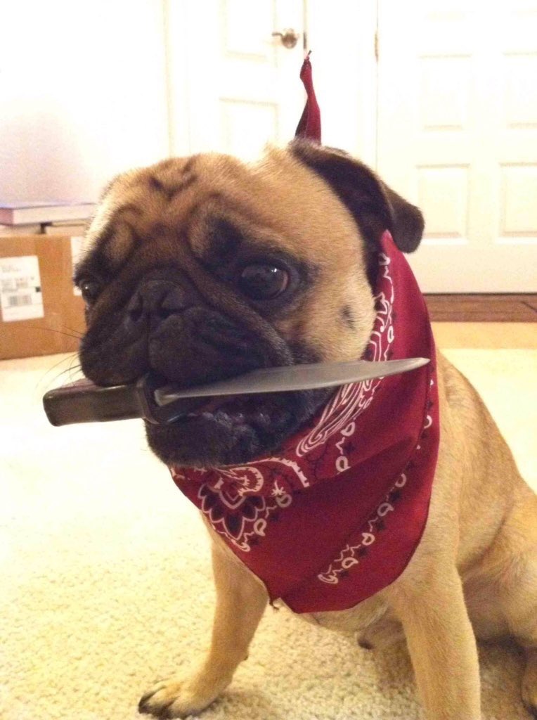 This is what you'll see when you enter in the PewDiePie town.