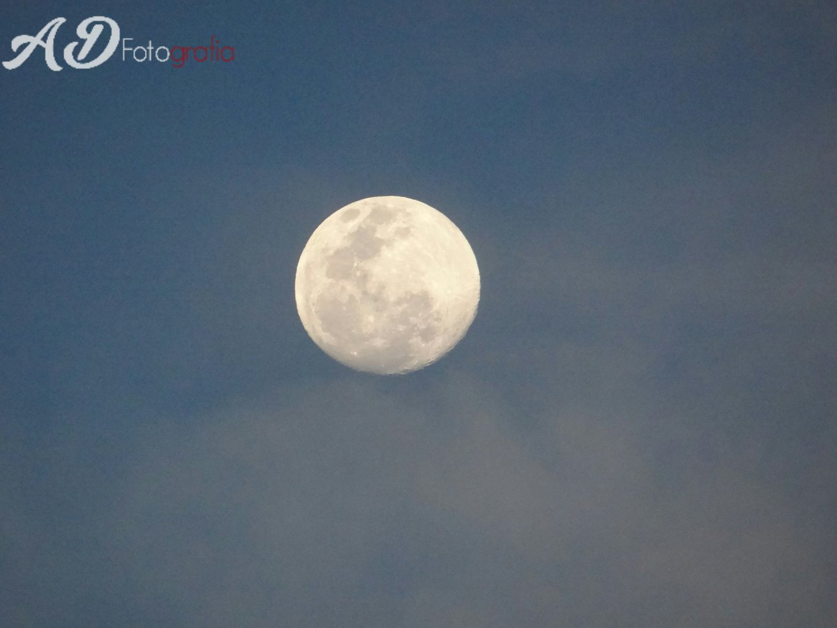 AlejoD728's tweet image. @ComparteMiradas #PintoFotografia #Fotografia #Fotografiadelaluna