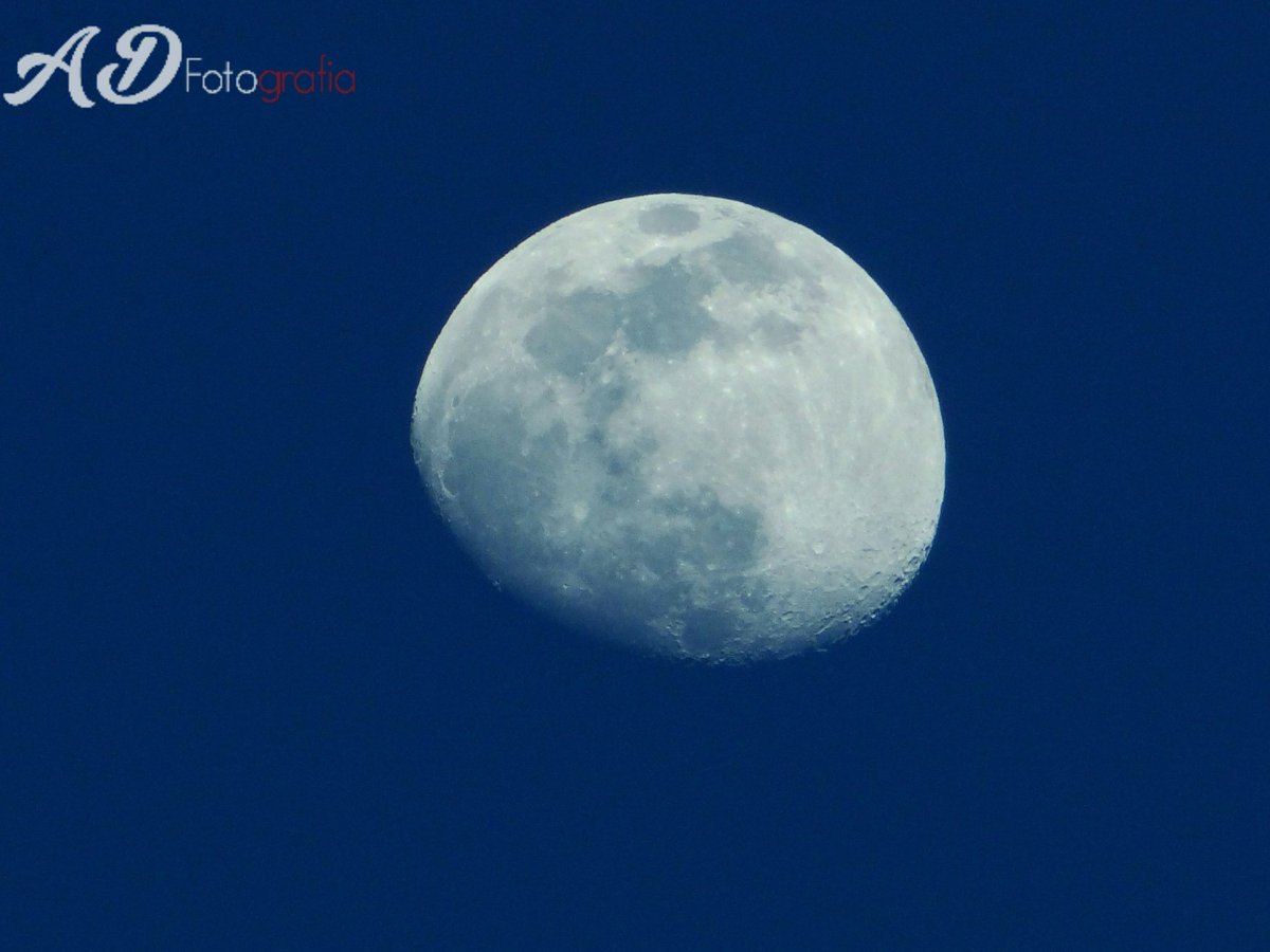 AlejoD728's tweet image. @ComparteMiradas #PintoFotografia #Fotografia #Fotografiadelaluna