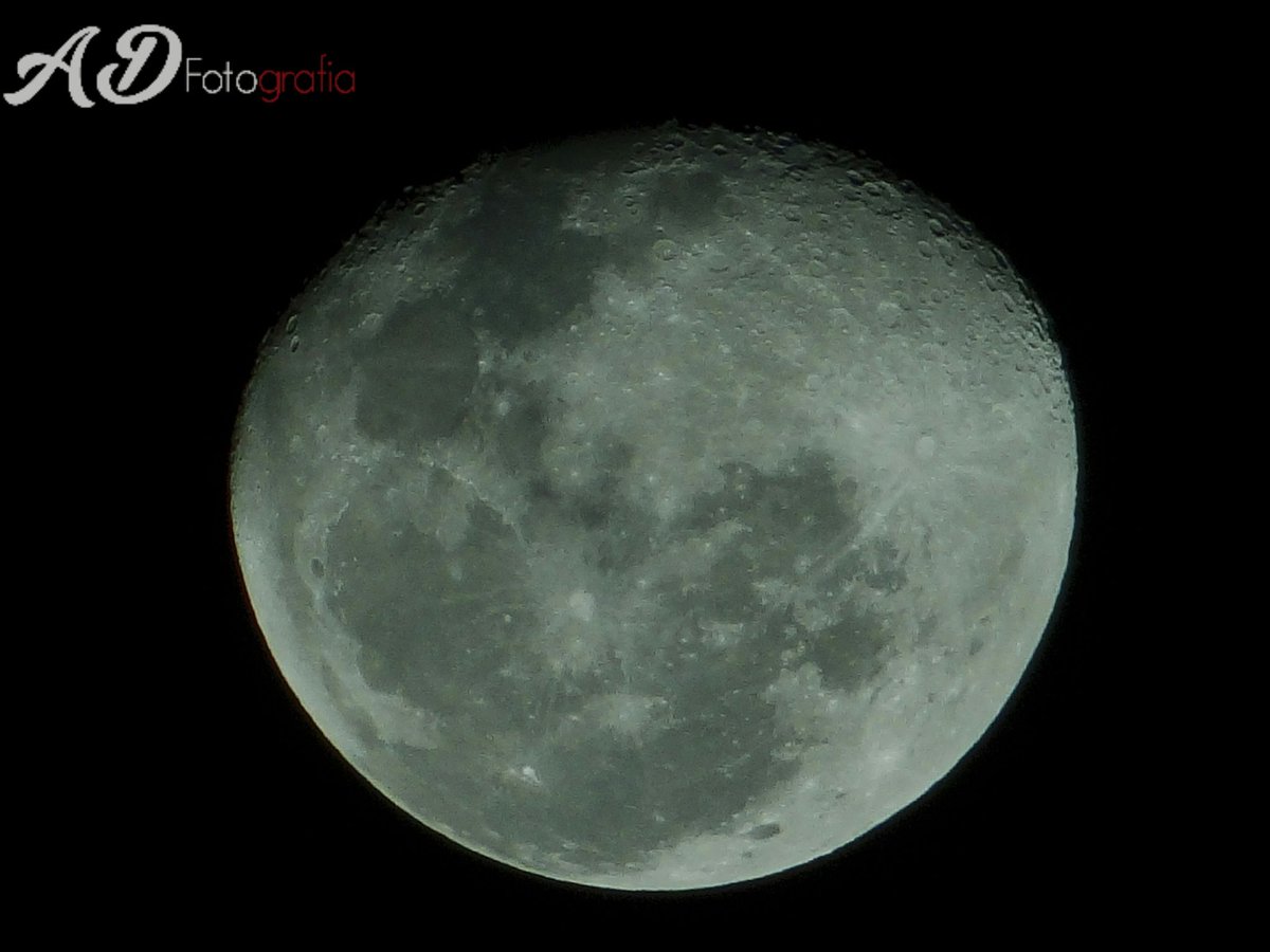 AlejoD728's tweet image. @ComparteMiradas #PintoFotografia #Fotografia #Fotografiadelaluna