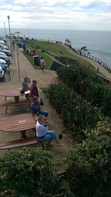 View image on Twitter