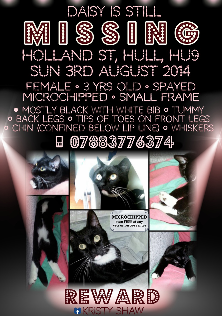 Daisy_Cat_Shaw's tweet image. #StillAWOL
facebook.com/daisy.shaw.mis…