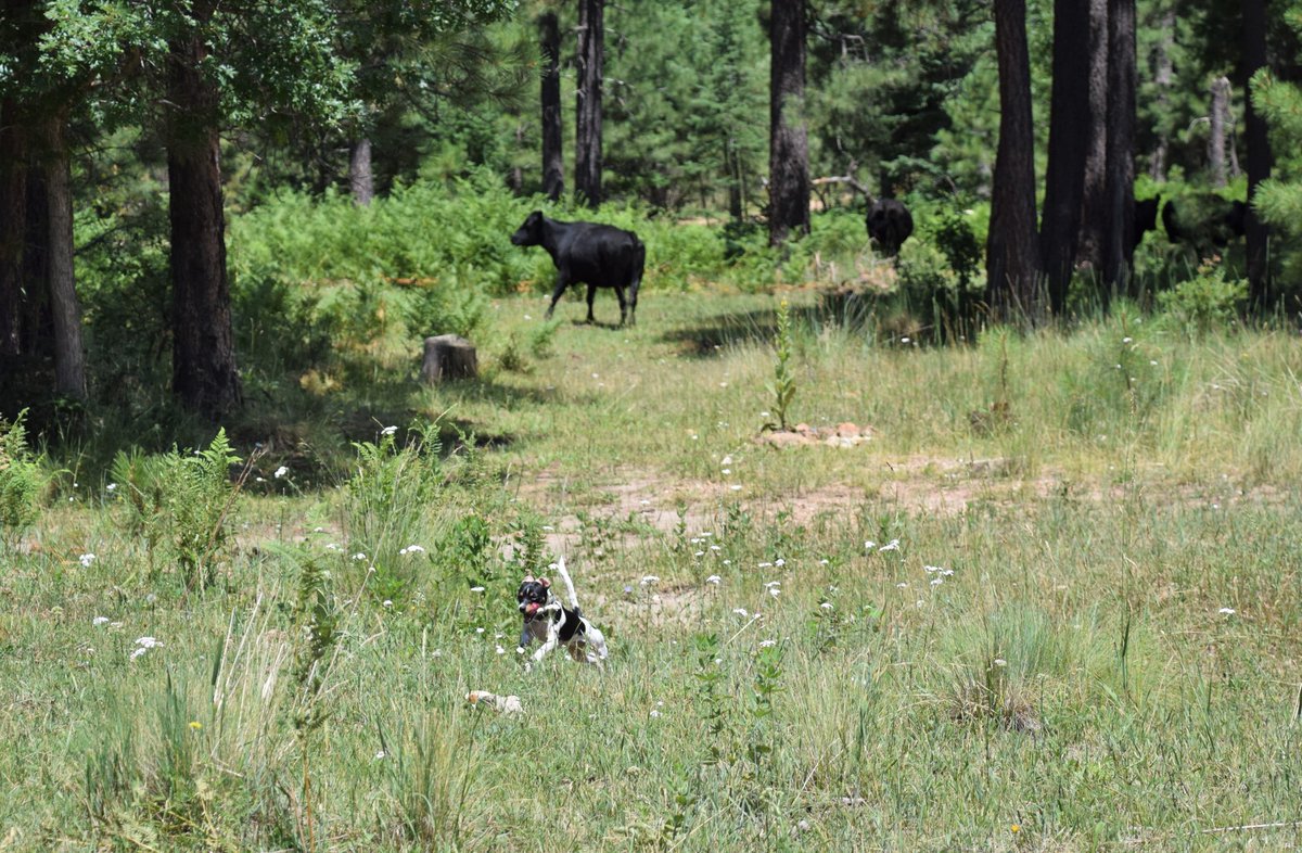 Katie Mogowski tweet media