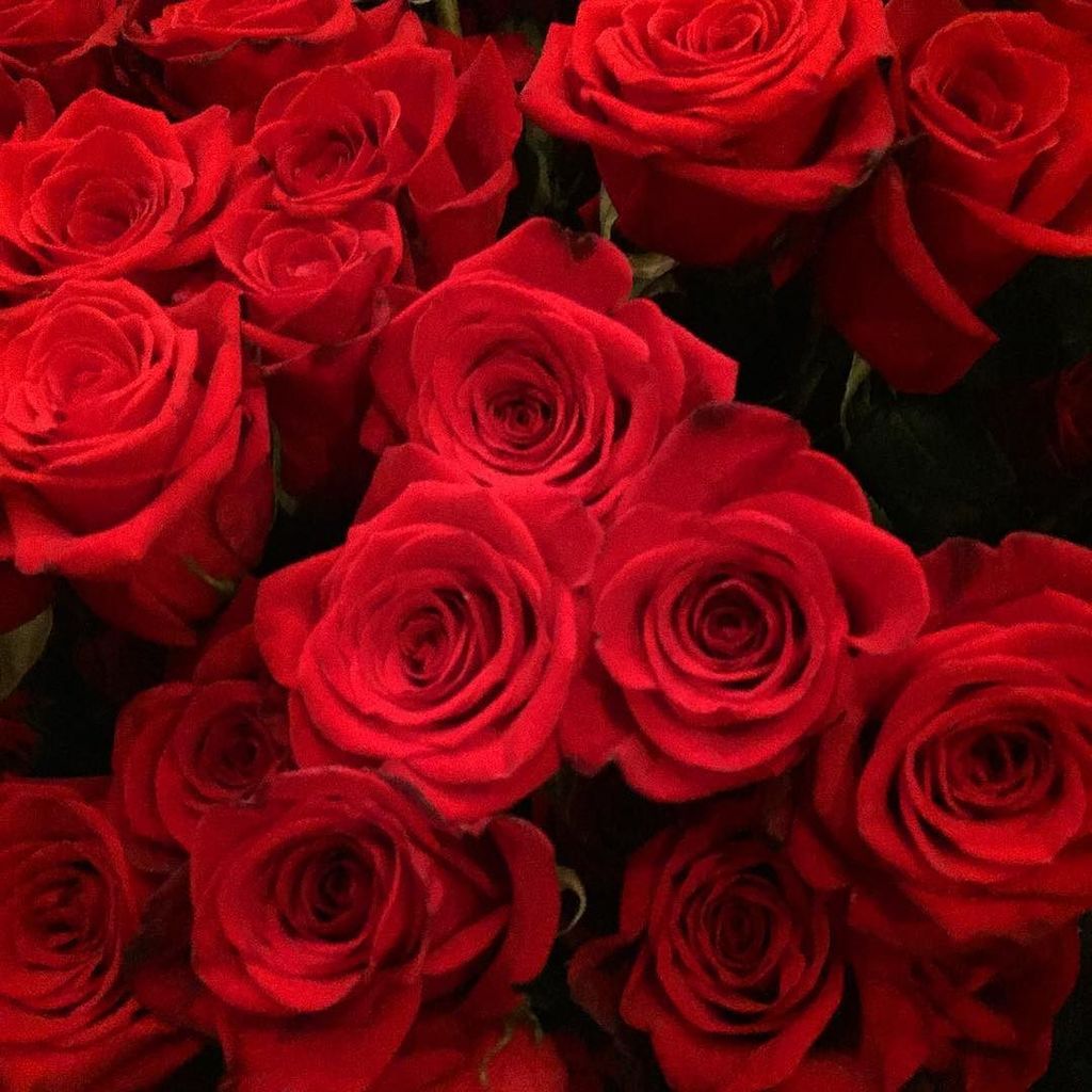 Sense Us tweet media