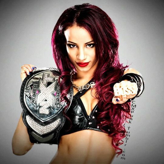 DarkLordXVI's tweet photo. @SashaBanksWWE @WWE It's about time, The chants were right...you deserve it! https://t.co/92CtoSRBVa