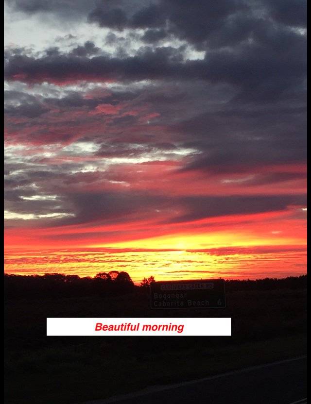 obrien_rosemary's tweet photo. This #PictureWithWords was sent via https://t.co/1iOw4P4Auh @justapps1 https://t.co/szJ3kAvV4w