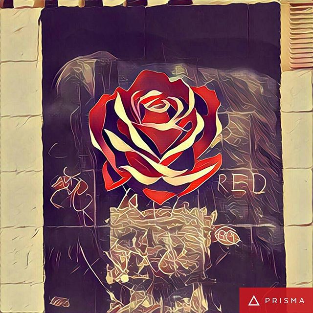bibCanopee's tweet photo. Rosebud - essai avec #Prisma #flameflower #streetart #urbanart #collage #angers https://t.co/YIZjuMqEue https://t.co/wcwXVZYujx