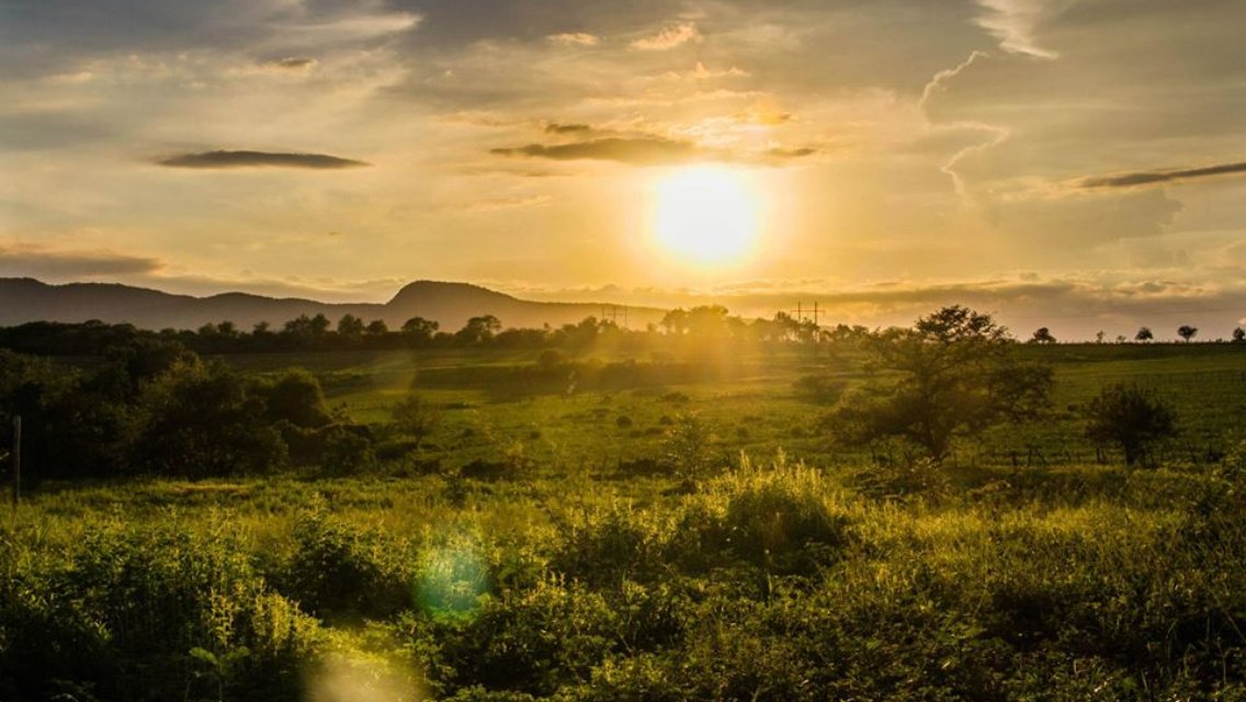 lanadi_'s tweet image. #O2SPhoto #SunsetSunday