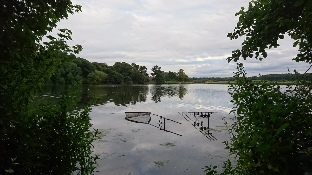 Jprecisionhooks's tweet photo. Back on the 86 acre low stocked lake today chasing those elusive scaleys https://t.co/wdJmz55h6e
