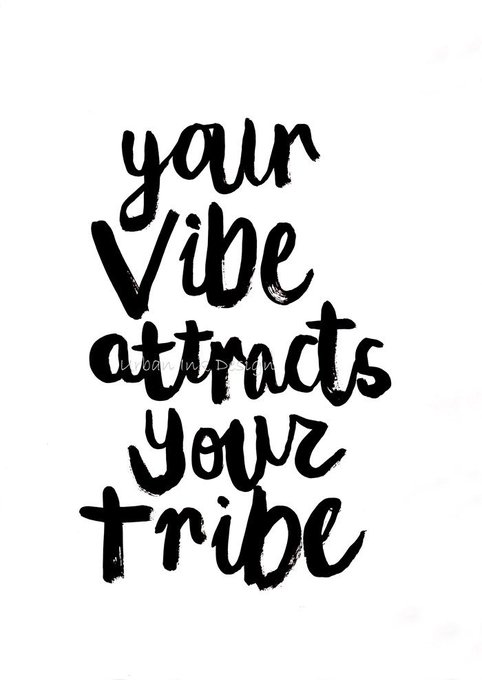 ...then I'm a mother fucking rockstar because I travel with the coolest band of brothers/sisters on the<a href="/tag/answerwithagif"class="tags"><span>#answerwithagif</span></a>
