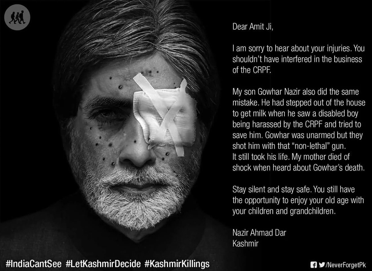 iamTahirashah's tweet photo. What if Indian celebrities were shot with pellets in #Kashmir. Powerful message by #NeverForgetpk #KashmirKillings https://t.co/fOSCm8aB85