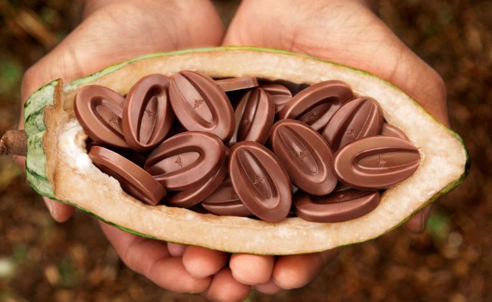 Cook&Go Rennes tweet media