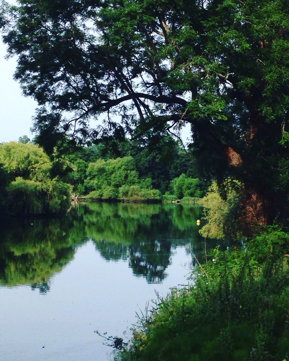 MidKentCollege's tweet image. Lovely views at Mote Park today #lovekent #summertime