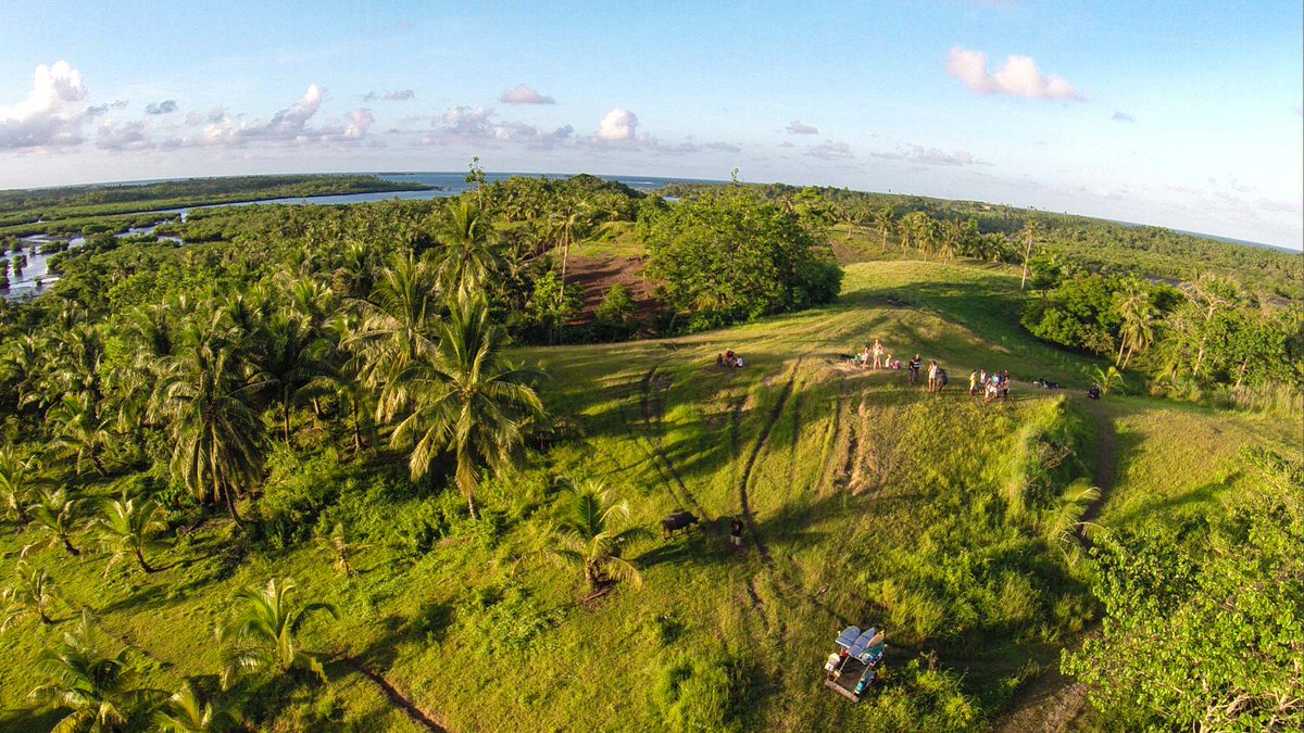 VDMSiargao's tweet photo. Drunken Carabao Riding at Sunset Drop Inn with Viento del Mar #Siargao #philippines #moonshine Like, Share, Follow. https://t.co/CaGYWtv2VJ