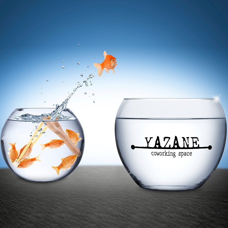 Eski ofisinizden sıkıldınız mı? Yazane bir telefon kadar uzağınızda :)  (0212) 293 79 00 #yazane  #freelancer