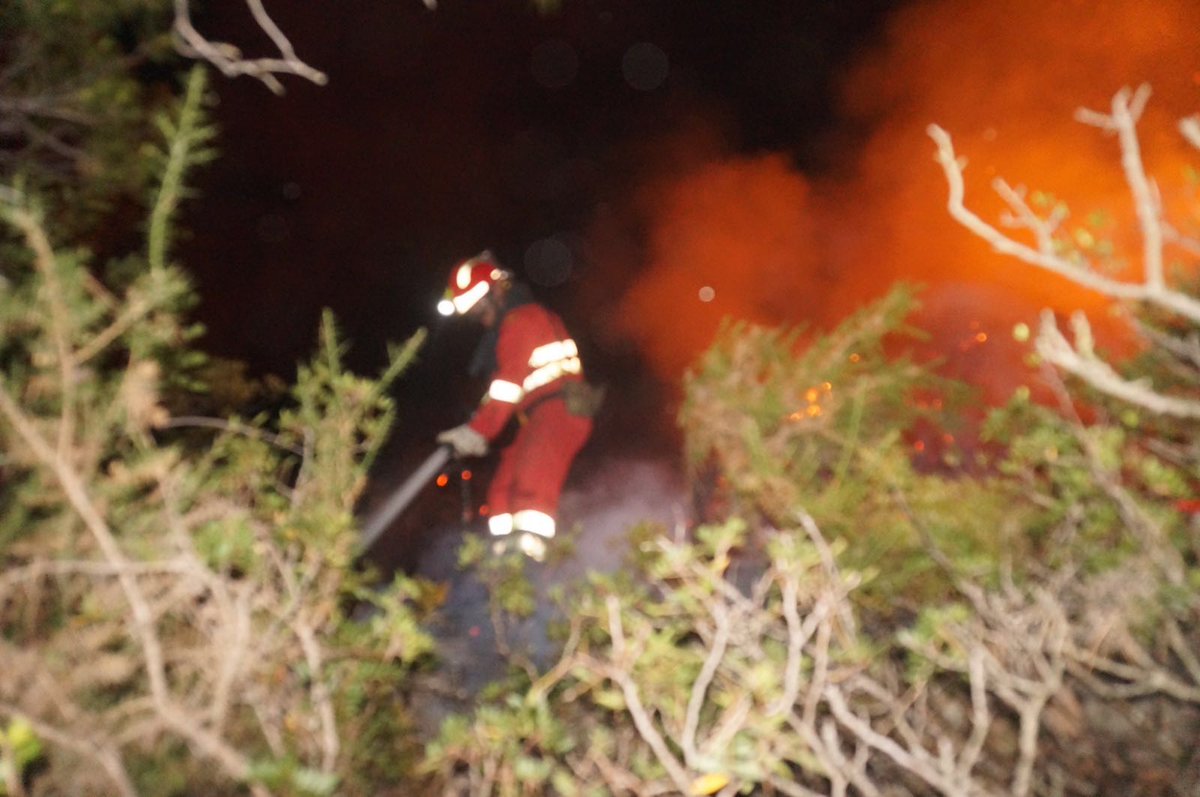 UMEgob's tweet photo. #IFArtana Durante la noche los equipos de extinción se esfuerzan para robarle hectáreas al fuego https://t.co/mSI1iBIfxp