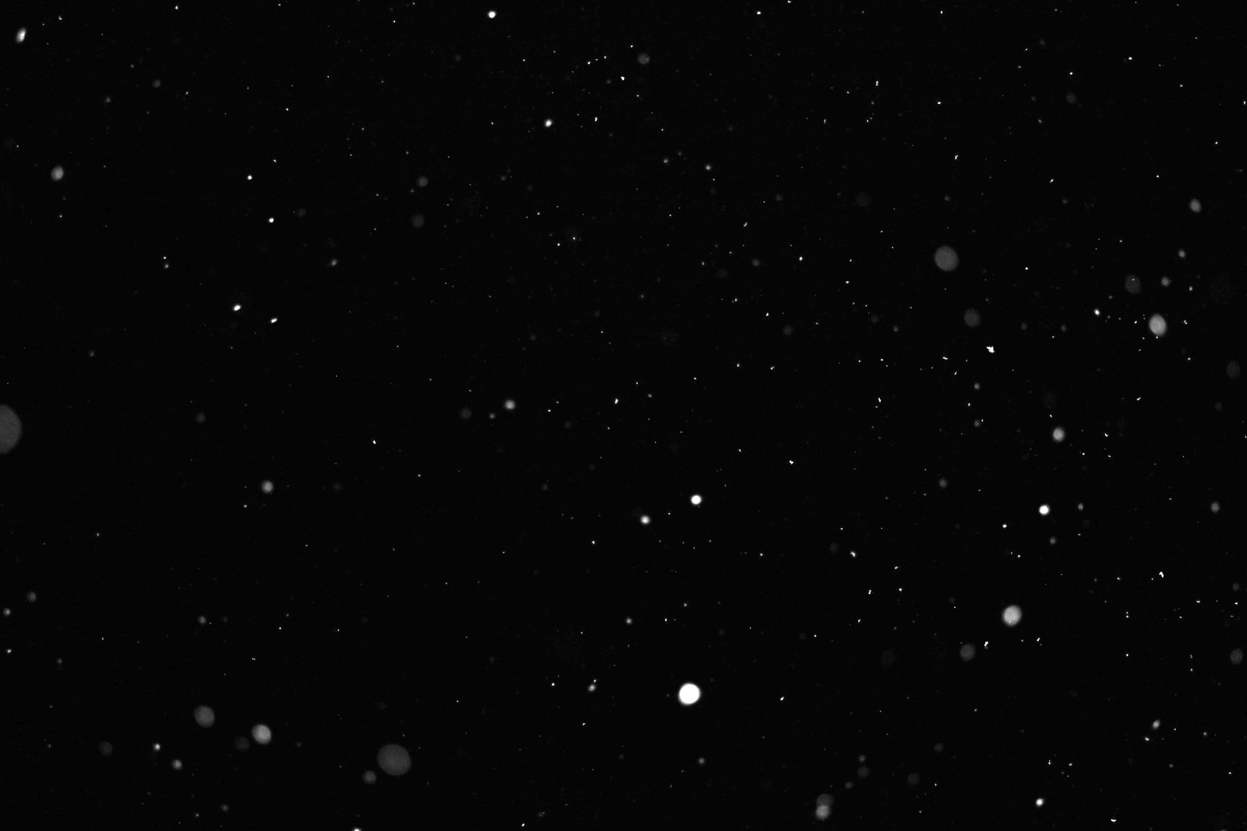 まさる Jp スパッタリング風にも使える雪のテクスチャ フリー素材 T Co 0noogcm7tz Twitter