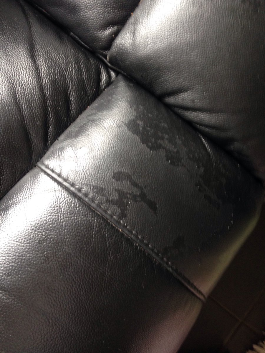 littlesareware's tweet photo. @K9Safety @sofastoreonline @guardian mine is the same! https://t.co/SQzFfJIwHs
