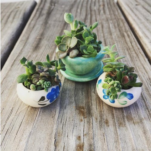 arizonapottery's tweet photo. Had to share these wonderful little garden #planters. #garden #decor #yardpots #tinypots #pottery #pots https://t.co/pukSd0eD72