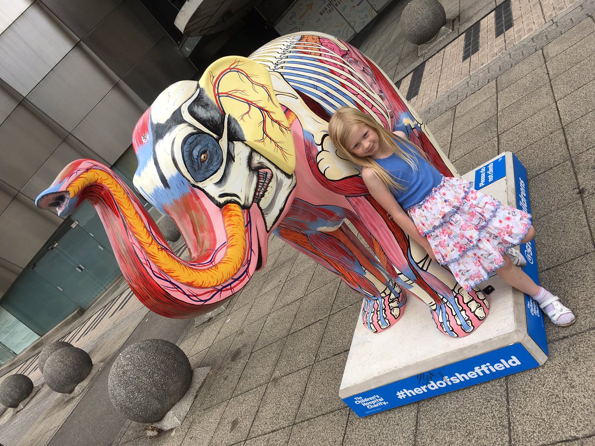 Inside out #HerdofSheffield