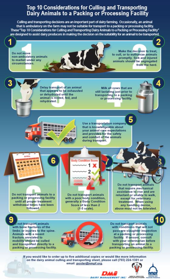 BeefQualityAssurance tweet media