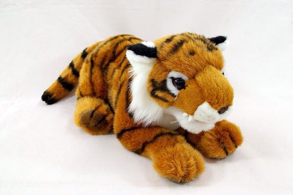 勝利が持ってるトラのぬいぐるみ🐯🐯🐯