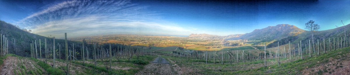 Klein Constantia (@kleinconstantia) on Twitter photo Ever wonder what the top of our Sauvignon Blanc blocks looked like? #capetown <a href="/constantia1685/">Constantia Valley</a> <a href="/ConstantiaRoute/">ConstantiaWineRoute</a> Ever wonder what the top of our Sauvignon Blanc blocks looked like? #capetown <a href="/constantia1685/">Constantia Valley</a> <a href="/ConstantiaRoute/">ConstantiaWineRoute</a>