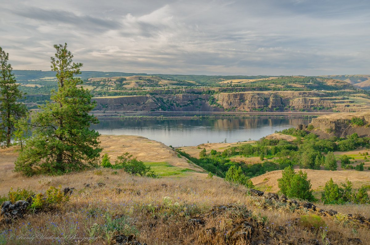 rwfool's tweet photo. Columbia River Gorge @ThePhotoHour #photography https://t.co/MAEvr4lQU8