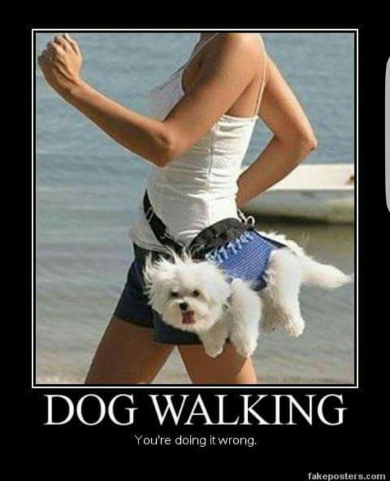 TW Pornstars - Carrie Moon. Onlyfans.Com/carriemoon. The latest