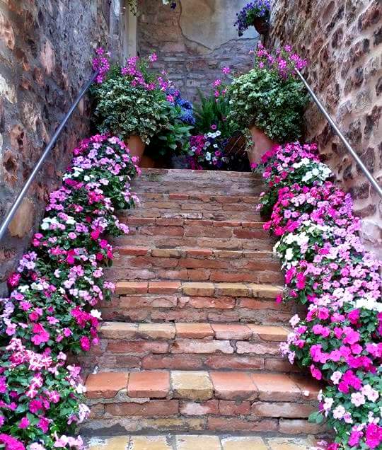 UmbriaMusei's tweet photo. I vicoli fioriti di #Spello sono un’esplosione di colori e profumi, connubio perfetto tra architetture e natura. https://t.co/UkxGWydfWs
