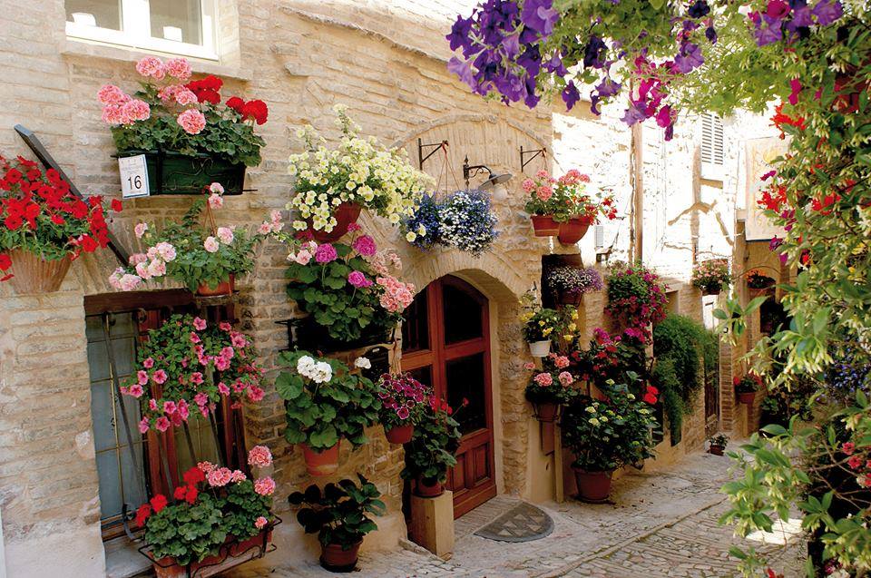 UmbriaMusei's tweet photo. I vicoli fioriti di #Spello sono un’esplosione di colori e profumi, connubio perfetto tra architetture e natura. https://t.co/UkxGWydfWs