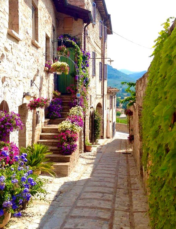 UmbriaMusei's tweet photo. I vicoli fioriti di #Spello sono un’esplosione di colori e profumi, connubio perfetto tra architetture e natura. https://t.co/UkxGWydfWs